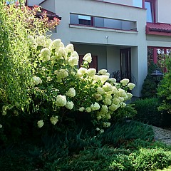 fot. Ogrod Zielony